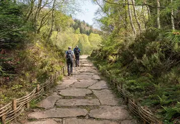 L'accès à la carrière du puy de La Vache sera réaménagé en un chemin pavé de pierres noires. La pente actuelle sera réduite pour faciliter l'accès.  