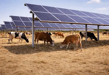 Un projet agrivoltaïque doit impérativement s’inscrire dans une démarche agricole réelle, avec un objectif de production maintenu et renforcé.