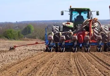 Pour assurer une levée homogène et vigoureuse du maïs, la profondeur de semis joue un rôle déterminant.