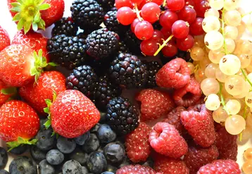 Les petits fruits rouges ont le vent en poupe