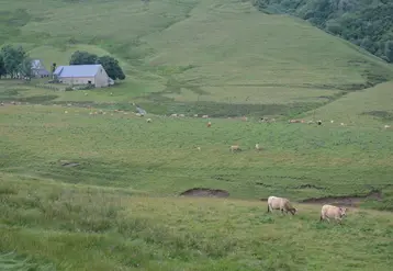 Les pâtures individuelles situées à plus de 25 km du siège d'exploitation sont soumises à déclaration obligatoire. 