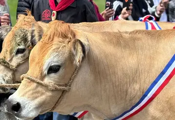 C'est bientôt la fête du Fin Gras !