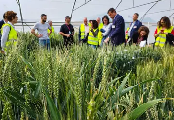 Limagrain compte plusieurs centres de recherche en Europe et dans le monde mais aussi en Auvergne, près de Clermont-Ferrand.  photo d'archive