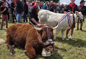 Le Fin Gras, une viande d'exception et la fierté d'un territoire