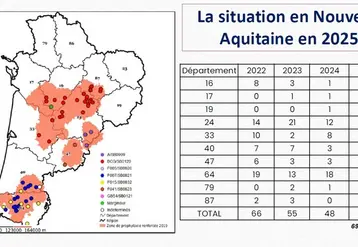 Les foyers se concentrent dans les zones historiques (24, 40, 64) avec un développement très important cette année dans le 87. Les différentes souches de Mybobacterium bovis sont appelées spoligotypes. Leur identification permet de retracer les sources de la contamination.