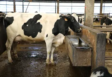 Attention, une eau limpide n’est pas forcément une eau de bonne qualité.