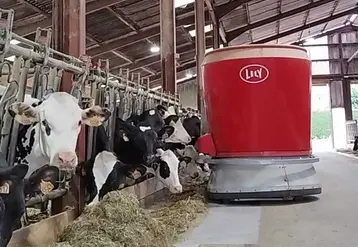 Le robot d'alimentation distribue la ration plusieurs fois par jour contre deux fois auparavant. 