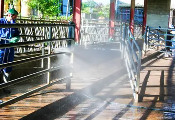 La désinsectisation et la décontamination des bâtiments agricoles occupe une part de plus en plus importante au sein des Farago. (photo d'archives)