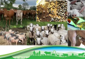 La FRGDS Nouvelle-Aquitaine a été reconduite comme Organisme à Vocation Sanitaire (OVS) pour le domaine animal pour la période 2025 – 2029. L’AG est l’occasion de faire un tour d’horizon des actualités des différentes sections.