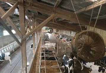 Les débits de ventilation doivent être maximisés en été, par l'ouverture de votre bâtiment et/ou par l'installation de ventilateurs.