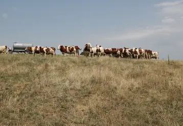 Les agriculteurs non assurés peuvent également bénéficier de l’Indemnité de Solidarité Nationale, mais dans des conditions moins avantageuses.