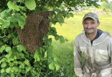 apiculteur à coté d'un essain