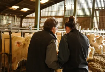 Le Gaec est l'une des formes sociétaires les plus répandues en agriculture.