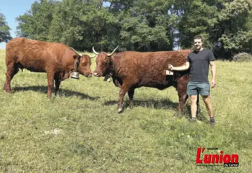 jeune éleveur devant une vache salers au pré