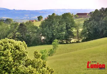 paysage rural, parcelles et haies en moyenne montagne
