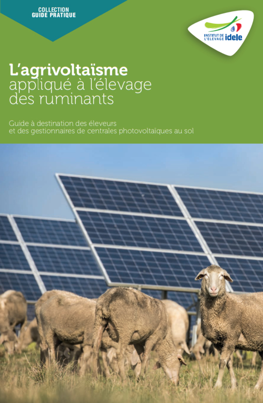 Photovoltaïque pas à pas: Le guide pratique pour débutants pour la