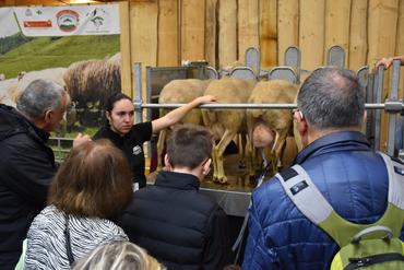 Démonstration de traite de Lacaune au SIA 2026