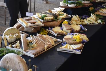 Un buffet de produits laitiers à base de lait de brebis
