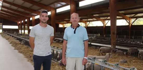 Jeune éleveur et son père en bergerie