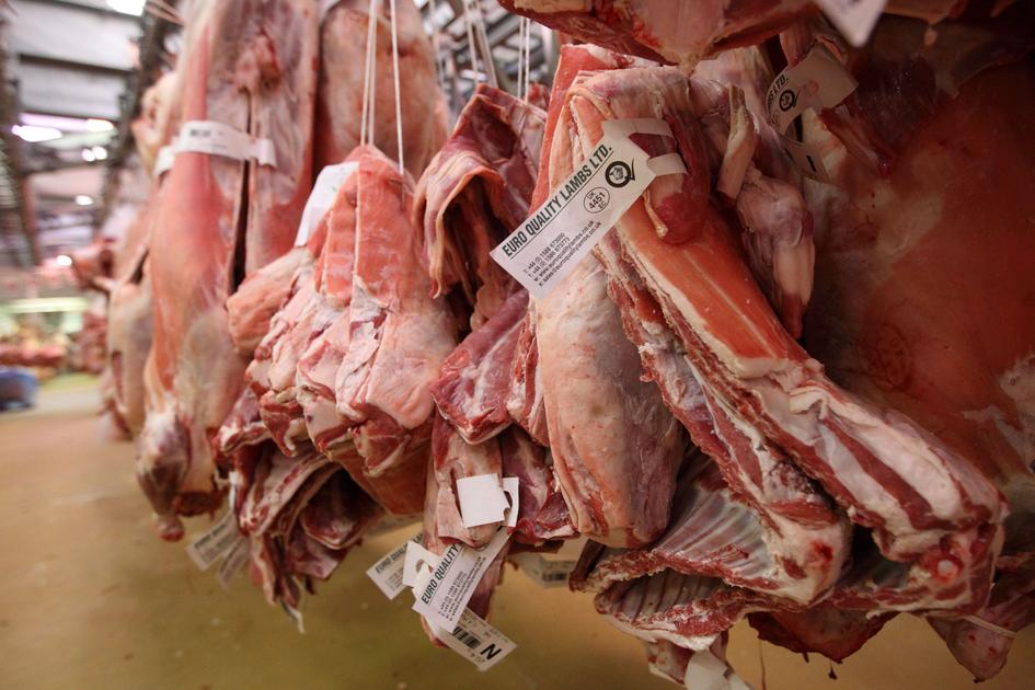 EU-Australia agreement: 25,000 tonnes of sheep and goat meat granted to Australia