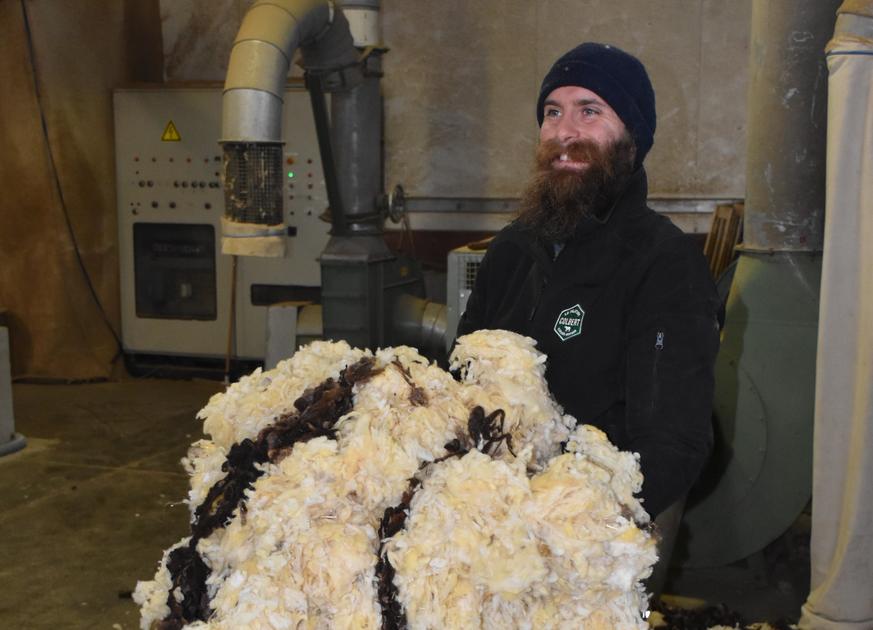 La laine de lacaune trouve preneurs à la filature Colbert | Réussir Pâtre