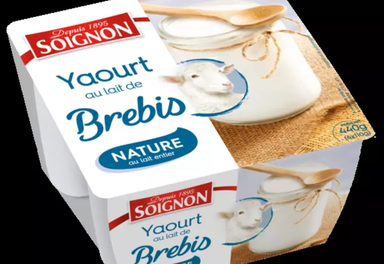 Les yaourts de brebis sont surtout consommés pas des seniors, mais Soignon souhaite développer la consommation familiale et a pour cela lancé un yaourt mixé à la fraise. © Soignon