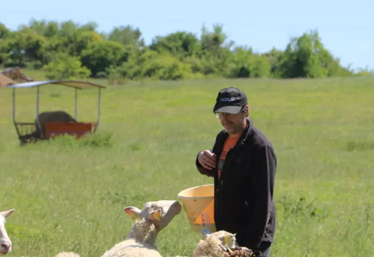 Le piétin touche 70 % des élevages ovins de Haute-Vienne et du Lot et est très répandu dans toute la France. Son éradication allège les contraintes de travail pour l'éleveur et améliore la bien-être animal du troupeau.