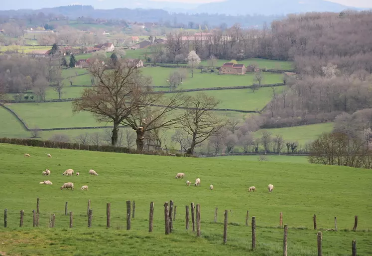 La prise en compte des attentes environnementales est bien ancrée dans la filière ovine qui intègre cette dimension dans une multitude de projets et d'études.