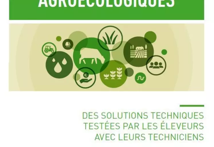 So_Perfects rassemble les pratiques pour la durabilité en élevage ovin