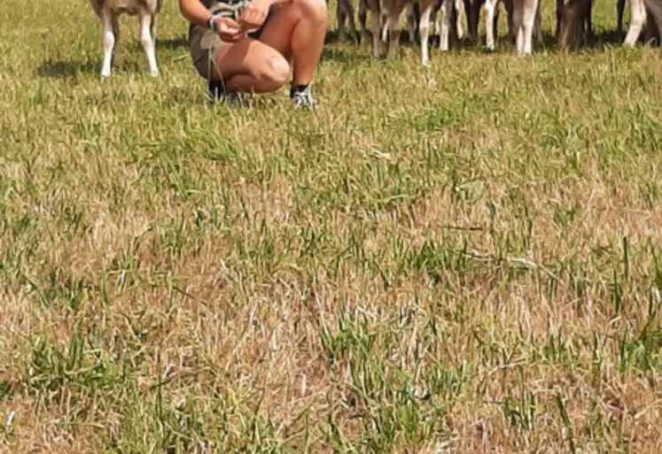 Florette Richard a grandi en Vendée, en zone de plaine, dans l’exploitation familiale en production ovine.