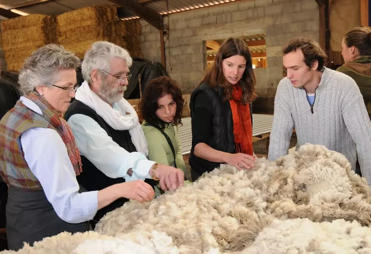 Selon sa qualité, la laine pourra alimenter des circuits à forte valeur ajoutée ou bien être utilisée comme engrais et protection des cultures.