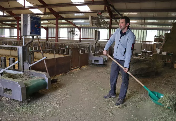 Roger Uhalde, éleveur de brebis laitières, donne à manger à ses animaux.