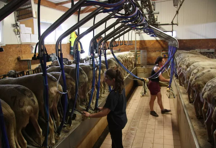 Le prix moyen de la valorisation du lait est un des critères qui composent le produit de l'atelier ovin et définit la rémunération de l'éleveur.