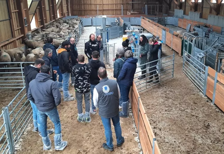 Visite à la ferme du Mourier