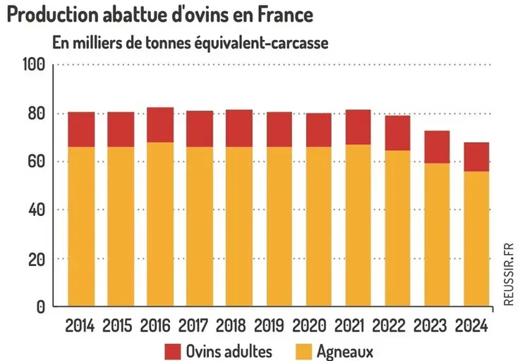 <em class="placeholder">Graphique : Production abattue d&#039;ovins en France© GEB-Institut de l&#039;élevage d&#039;après Eurostat</em>