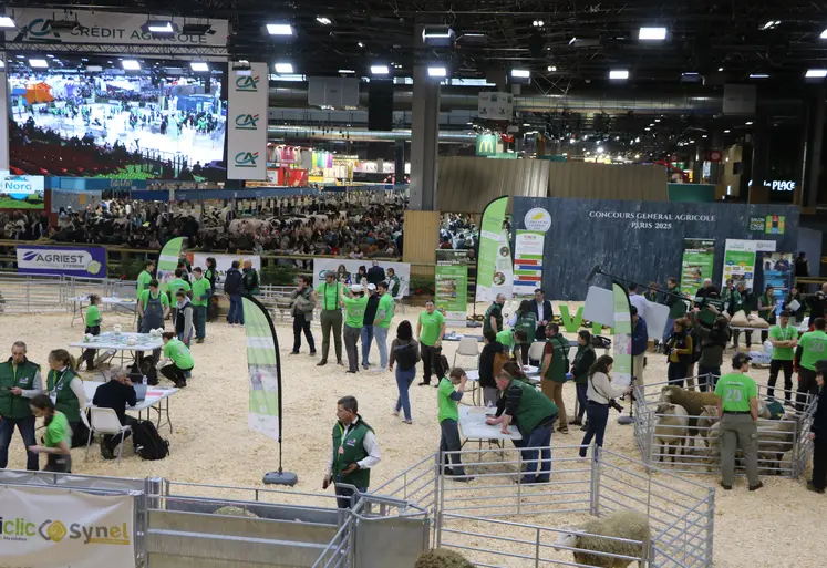 La finale des Ovinpiades s'est déroulée à Paris, lors du premier jour du Salon de l'Agriculture.