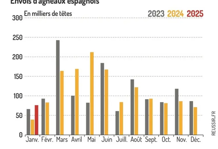 <em class="placeholder">Graphique : Envois d&#039;agneaux espagnols©GEB-Institut de l&#039;élevage, d&#039;après Eurostat</em>