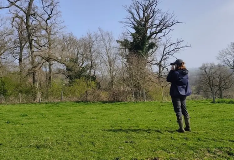 <em class="placeholder">Expert en écologie réalisant un suivi ornithologique.</em>