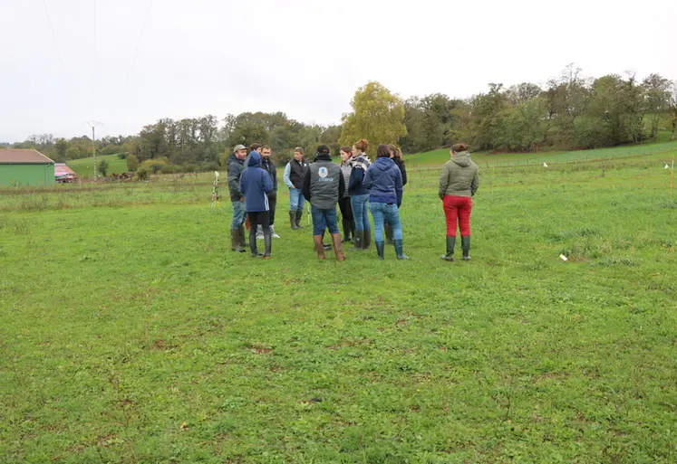 <em class="placeholder">Formation de conseillers ovins</em>