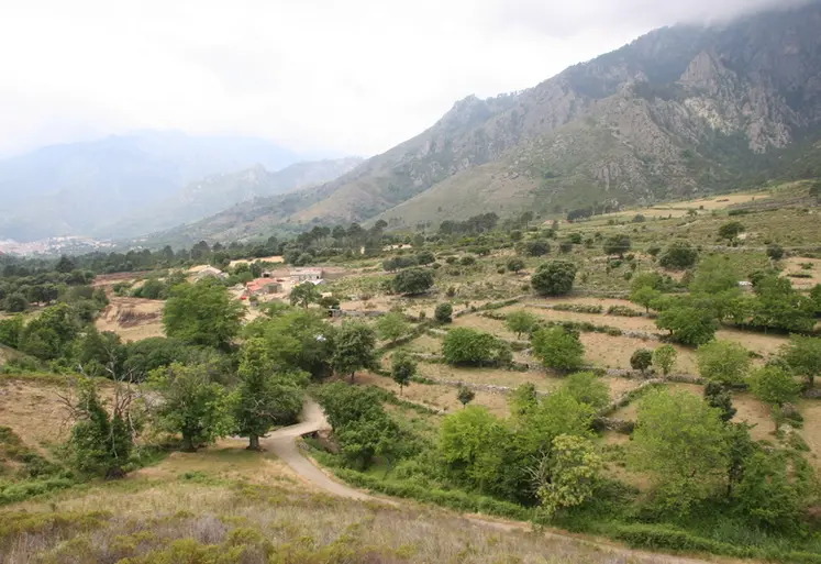 <em class="placeholder">Paysage de Corse</em>