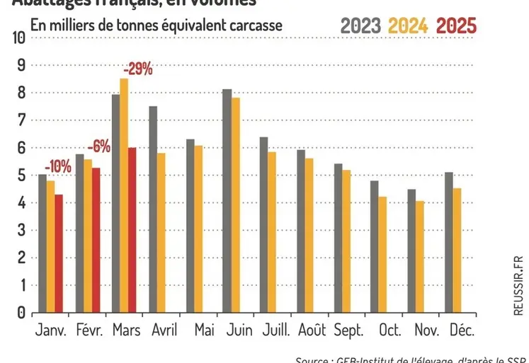 <em class="placeholder">Graphique : La production abattue diminue au 1er trimestre 2025©GEB-Institut de l’élevage, d’après le SSP</em>
