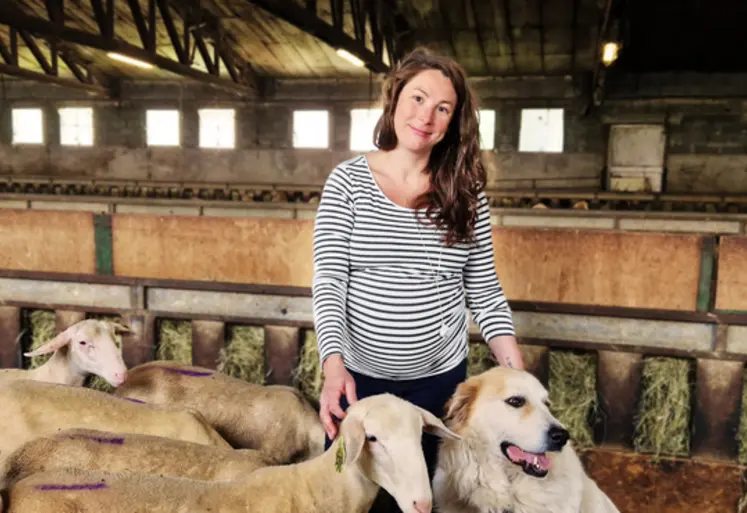 <em class="placeholder">Lucie, 34 ans, s&#039;installe comme éleveuse de brebis laitières en Aveyron.</em>