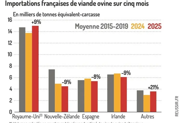 <em class="placeholder">Graphique : Importations françaises de viande ovine sur cinq mois ©GEB-Institut de l’élevage, d’après les douanes françaises</em>