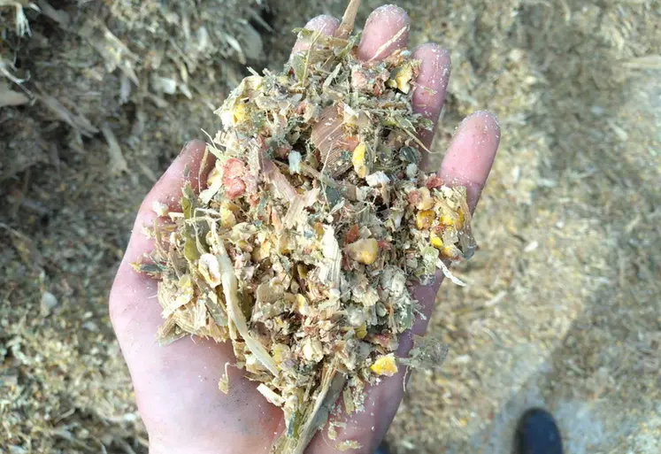 <em class="placeholder">Ensilage de maïs épi</em>