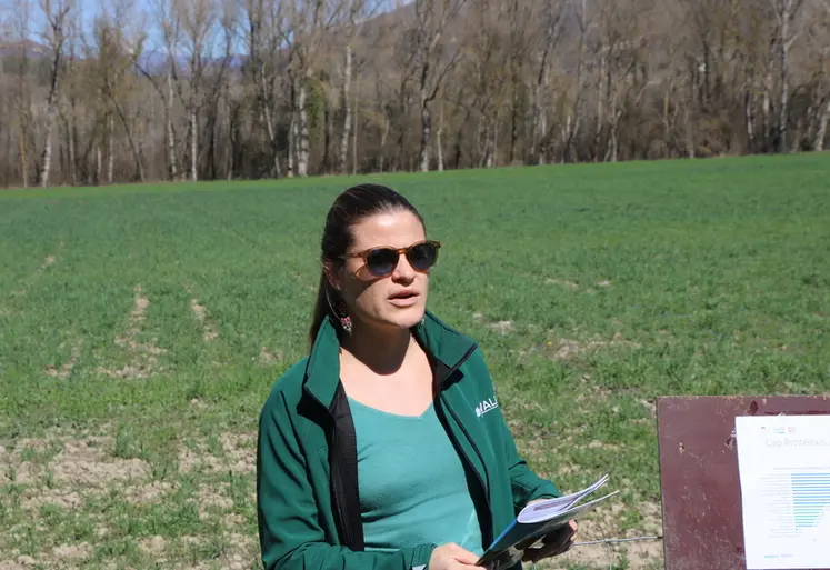 <em class="placeholder">Clémentine Bourgeois, d’Arvalis</em>