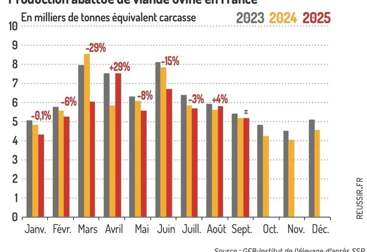 <em class="placeholder">Graphique : Production abattue de viande ovine en France©GEB-Institut de l&#039;élevage d&#039;après le SSP</em>