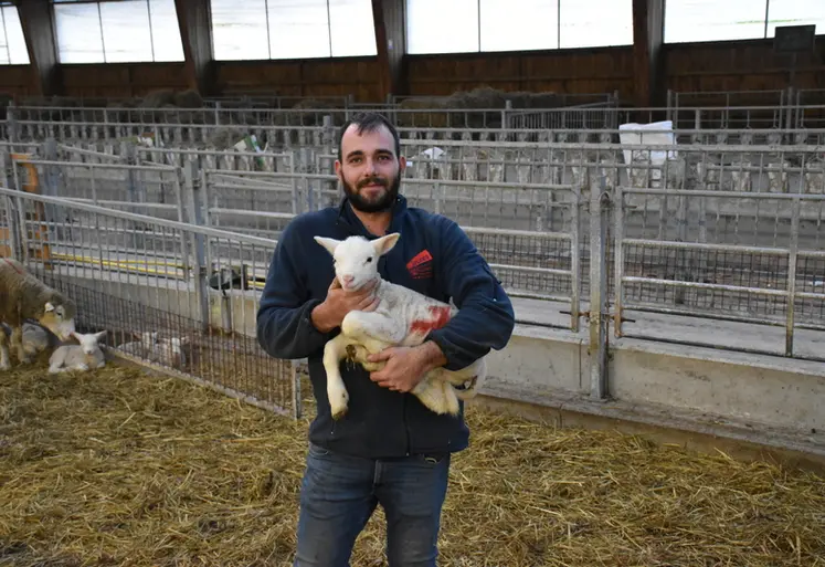 <em class="placeholder">Jeune éleveur tenant un agneau dans ses bras</em>