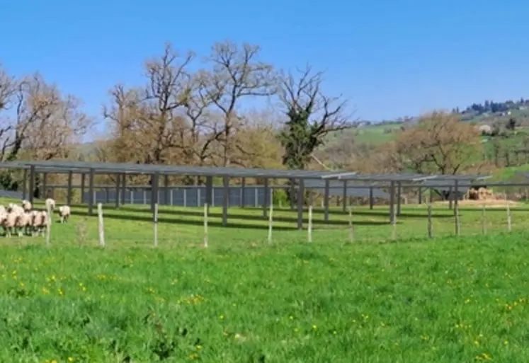 <em class="placeholder">Des ovins pâturent sous des panneaux solaires.</em>