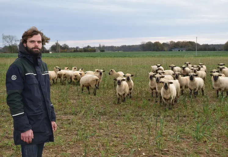 <em class="placeholder">Un éleveur et son troupeau de Hampshire</em>