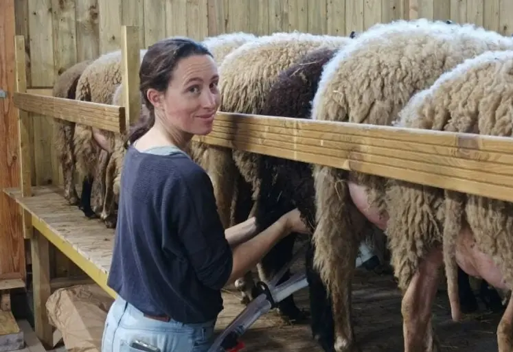 <em class="placeholder">Marjolaine trait des brebis.</em>
